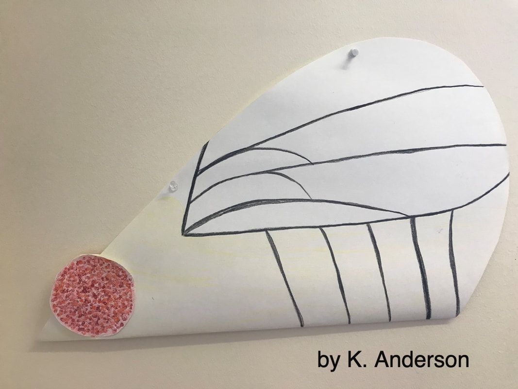 Picture of a card made to look like a fruit fly by K. Anderson